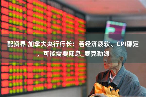 配资界 加拿大央行行长：若经济疲软、CPI稳定，可能需要降息_麦克勒姆