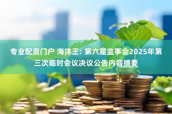 专业配资门户 海洋王: 第六届监事会2025年第三次临时会议决议公告内容摘要